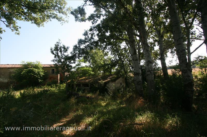 Immagine 2 di Rustico / casale in vendita  a Cortona