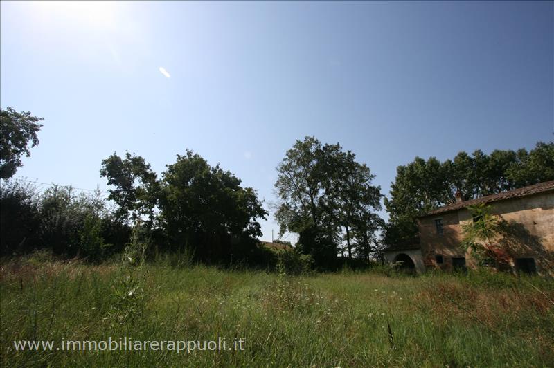 Immagine 6 di Rustico / casale in vendita  a Cortona