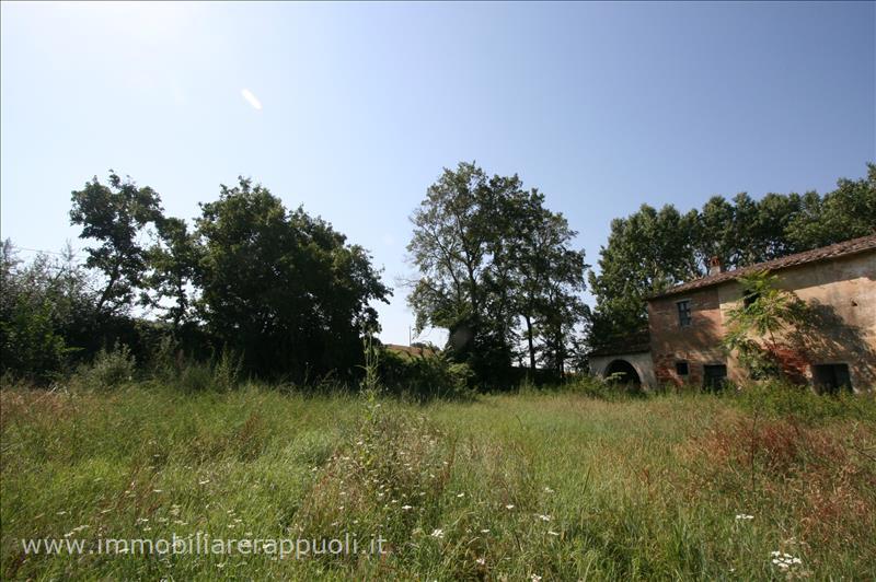 Immagine 7 di Rustico / casale in vendita  a Cortona