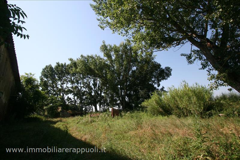 Immagine 8 di Rustico / casale in vendita  a Cortona