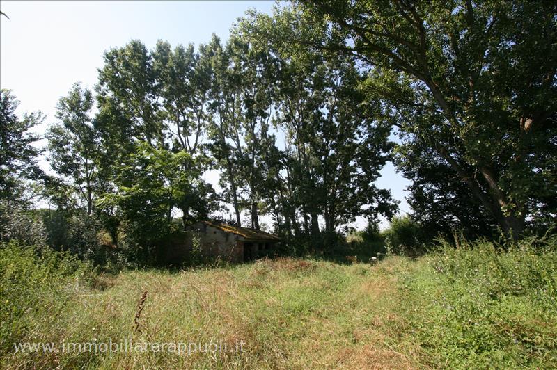 Immagine 9 di Rustico / casale in vendita  a Cortona