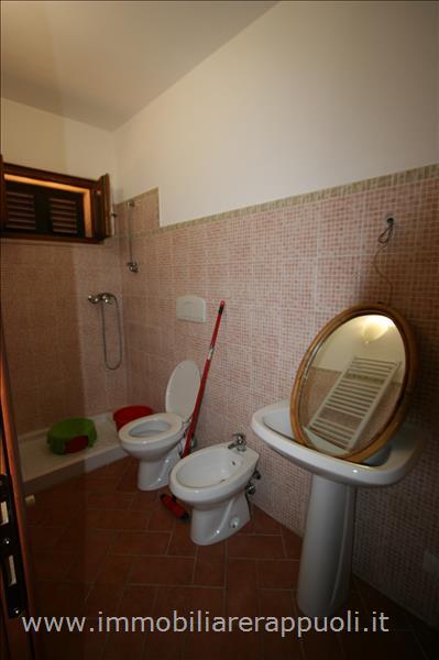 Immagine 3 di Appartamento in vendita  a Torrita Di Siena