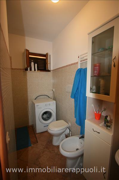 Immagine 6 di Appartamento in vendita  a Torrita Di Siena