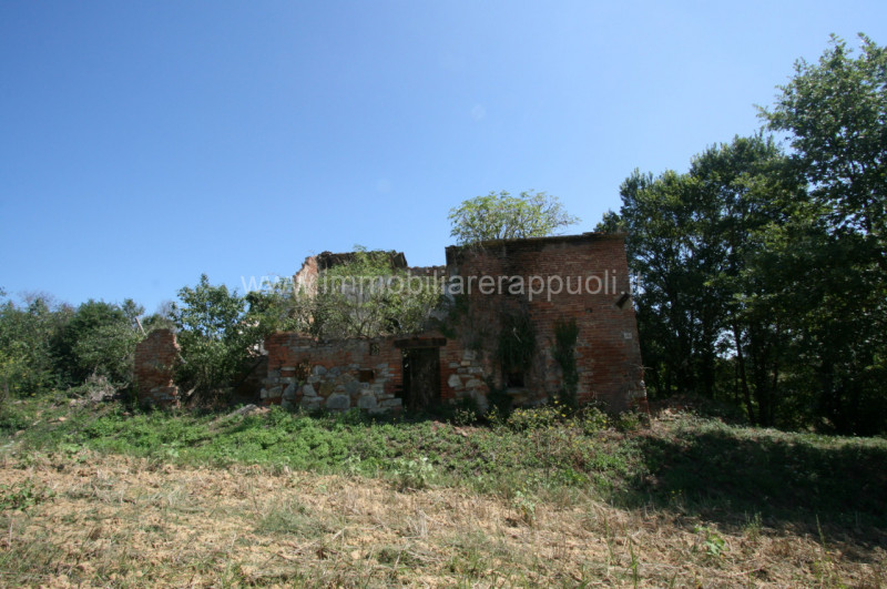 Immagine 4 di Rustico / casale in vendita  a Lucignano