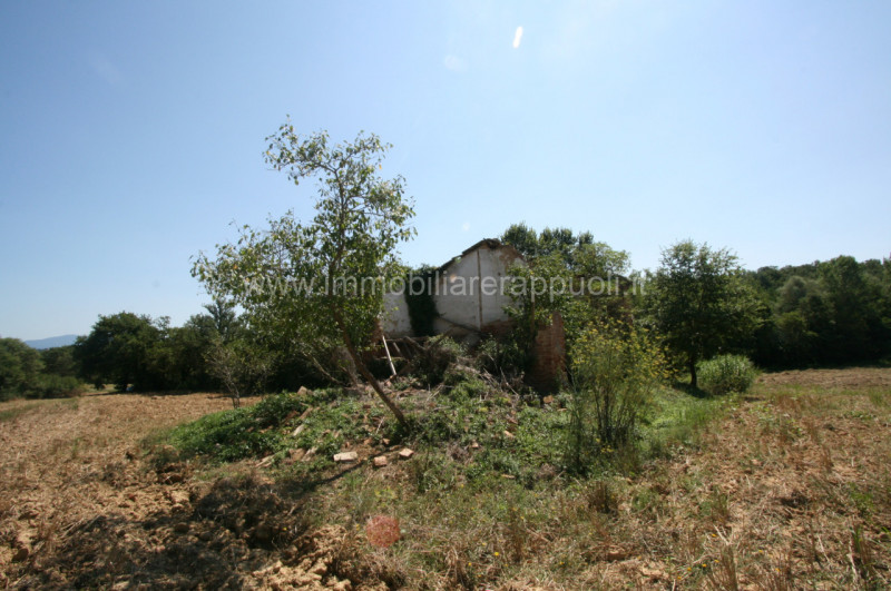 Immagine 5 di Rustico / casale in vendita  a Lucignano