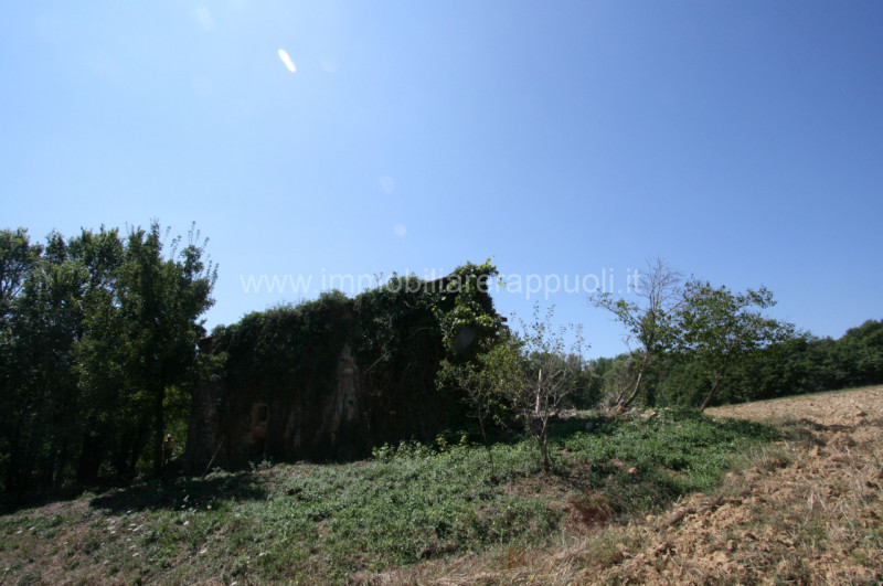 Immagine 8 di Rustico / casale in vendita  a Lucignano