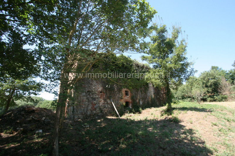 Immagine 9 di Rustico / casale in vendita  a Lucignano