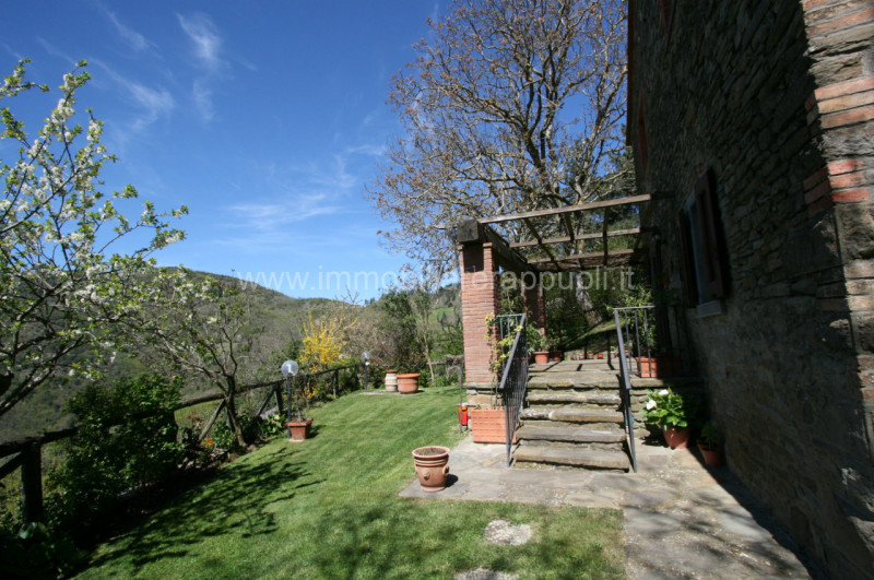 Immagine 2 di Rustico / casale in vendita  a Cortona