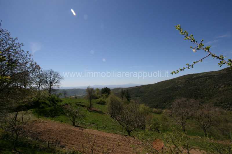Immagine 3 di Rustico / casale in vendita  a Cortona