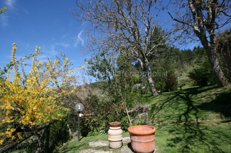 Immagine 4 di Rustico / casale in vendita  a Cortona