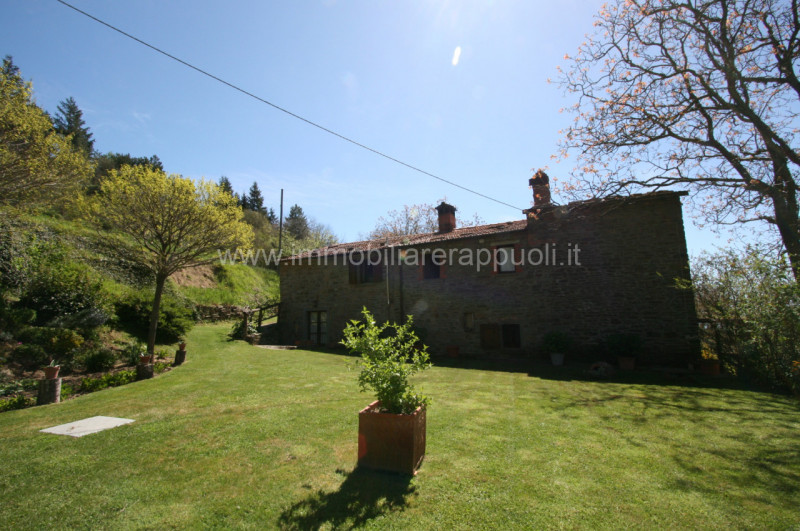 Immagine 6 di Rustico / casale in vendita  a Cortona