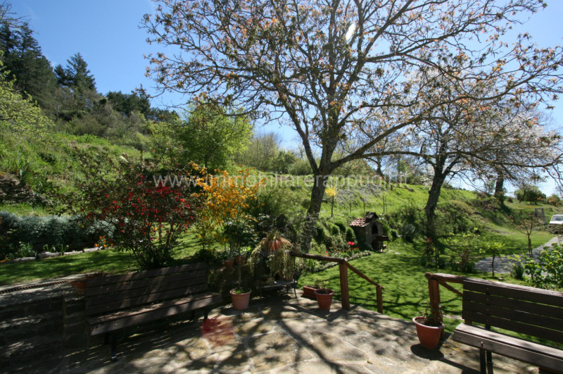 Immagine 17 di Rustico / casale in vendita  a Cortona