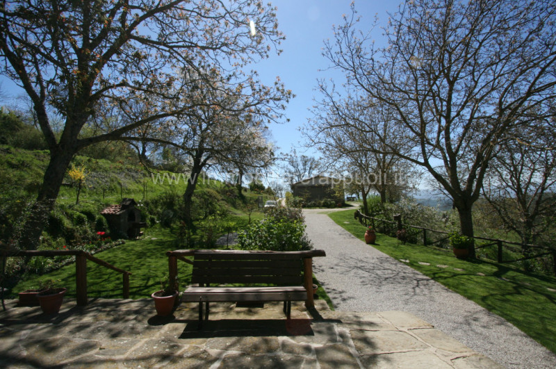 Immagine 18 di Rustico / casale in vendita  a Cortona