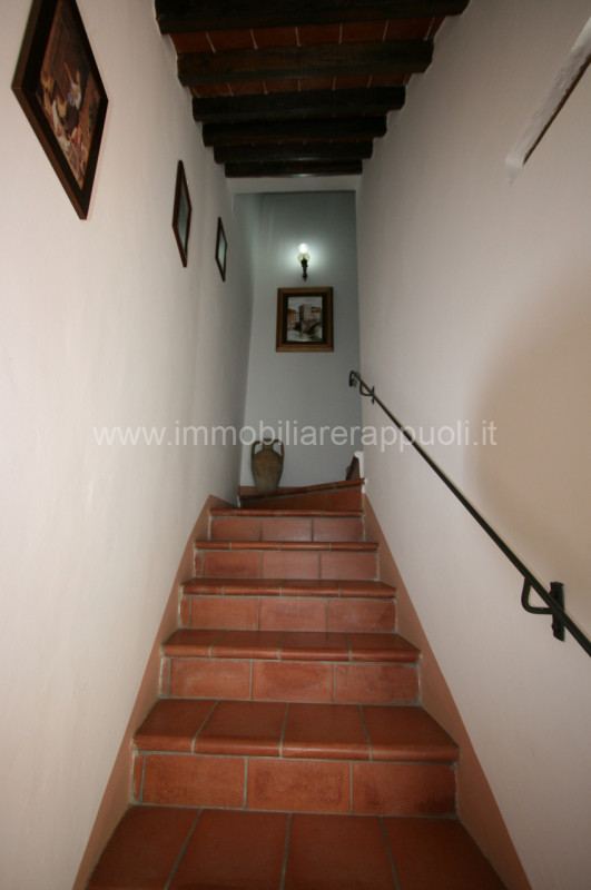 Immagine 26 di Rustico / casale in vendita  a Cortona