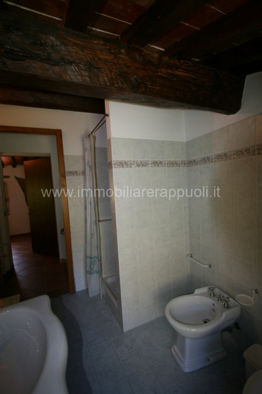 Immagine 28 di Rustico / casale in vendita  a Cortona