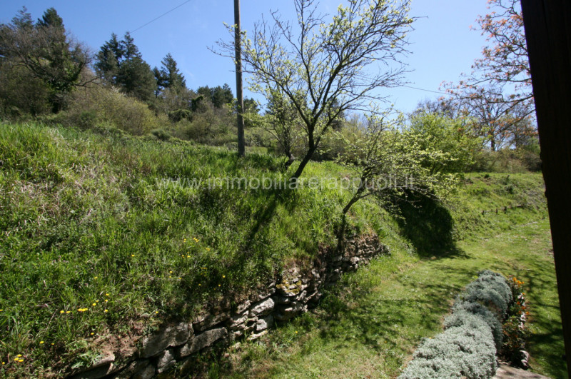Immagine 34 di Rustico / casale in vendita  a Cortona