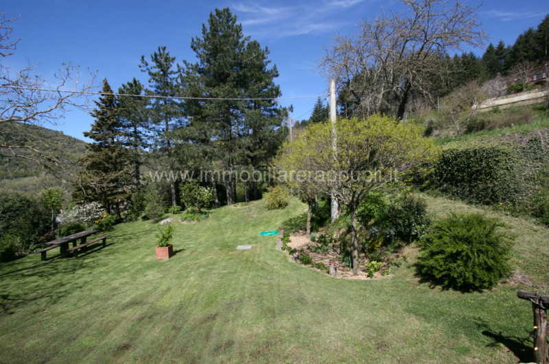 Immagine 35 di Rustico / casale in vendita  a Cortona