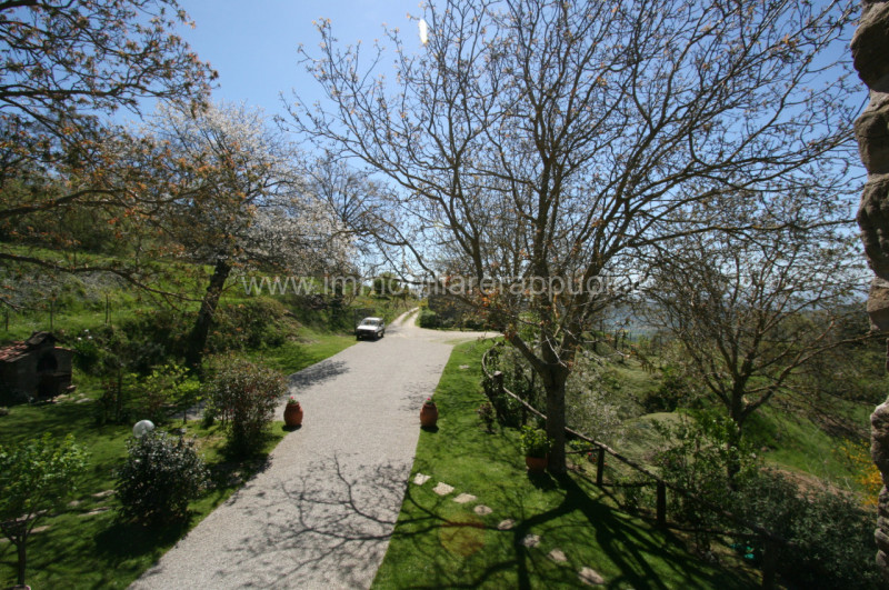 Immagine 38 di Rustico / casale in vendita  a Cortona