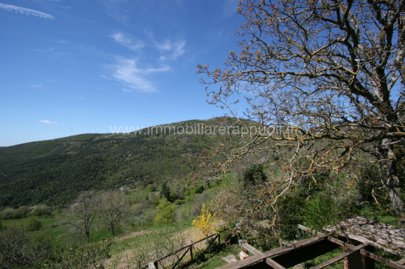 Immagine 39 di Rustico / casale in vendita  a Cortona