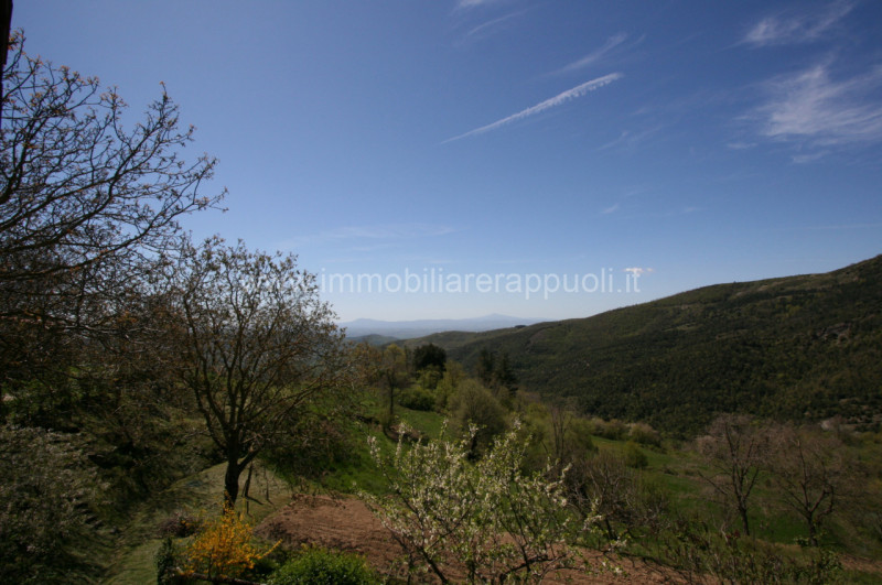 Immagine 40 di Rustico / casale in vendita  a Cortona