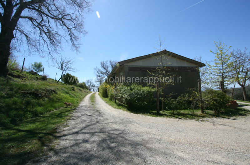 Immagine 46 di Rustico / casale in vendita  a Cortona
