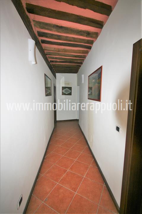 Immagine 2 di Appartamento in vendita  a Sinalunga