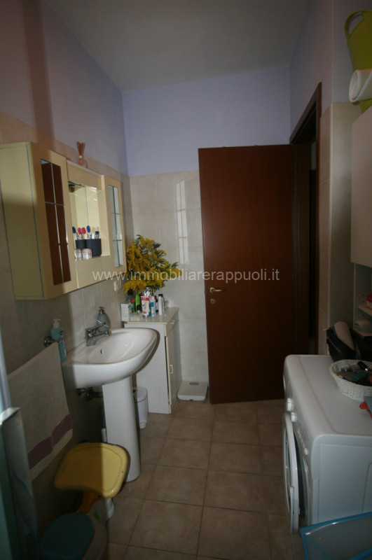 Immagine 5 di Appartamento in vendita  a Lucignano