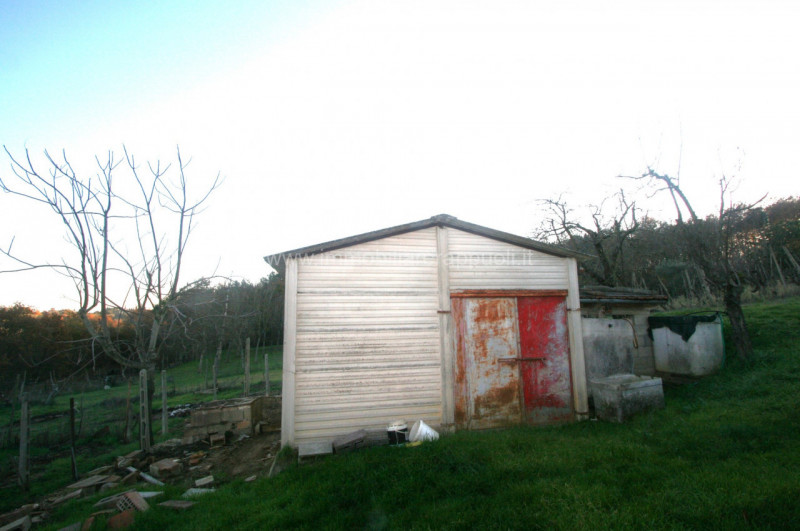 Immagine 1 di Rustico / casale in vendita  a Sinalunga