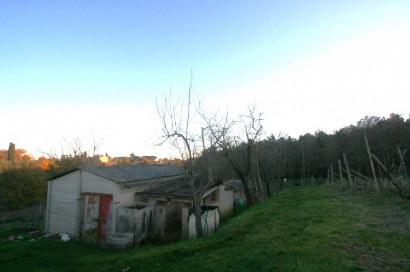 Immagine 3 di Rustico / casale in vendita  a Sinalunga