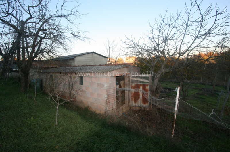 Immagine 4 di Rustico / casale in vendita  a Sinalunga