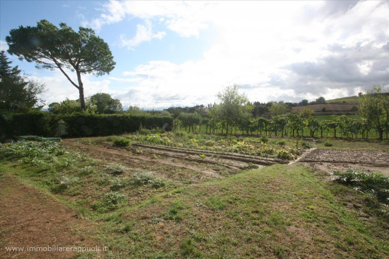 Immagine 3 di Rustico / casale in vendita  a Sinalunga