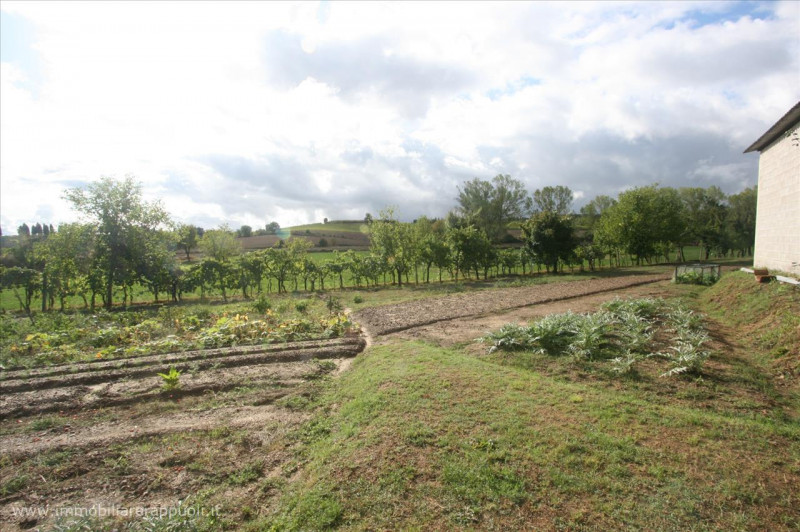 Immagine 4 di Rustico / casale in vendita  a Sinalunga