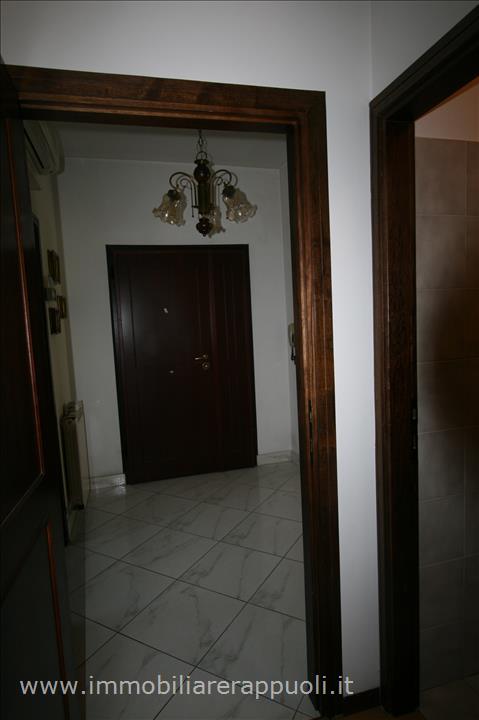 Immagine 3 di Appartamento in vendita  a Torrita Di Siena