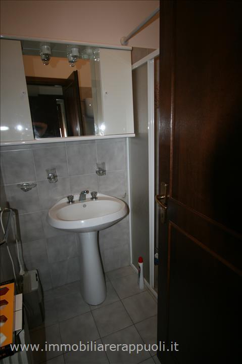 Immagine 5 di Appartamento in vendita  a Torrita Di Siena