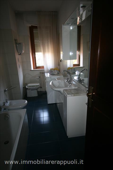 Immagine 7 di Appartamento in vendita  a Torrita Di Siena