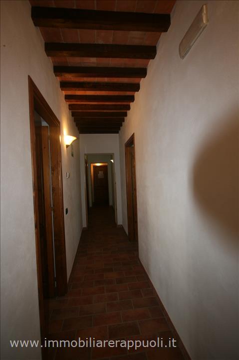 Immagine 2 di Rustico / casale in vendita  a Sinalunga