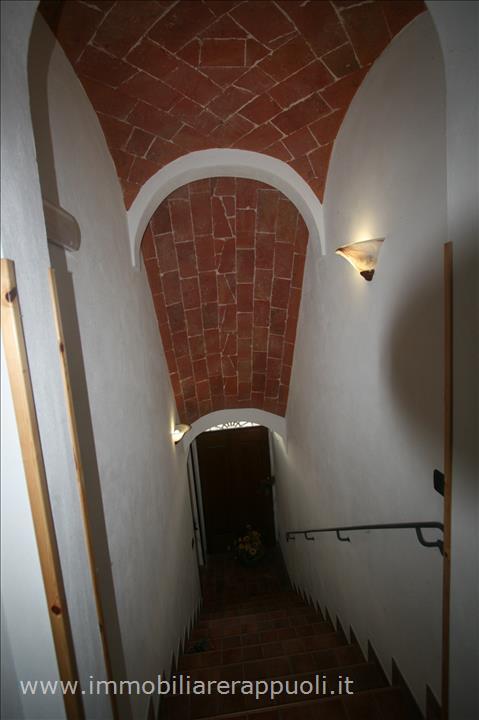 Immagine 10 di Rustico / casale in vendita  a Sinalunga