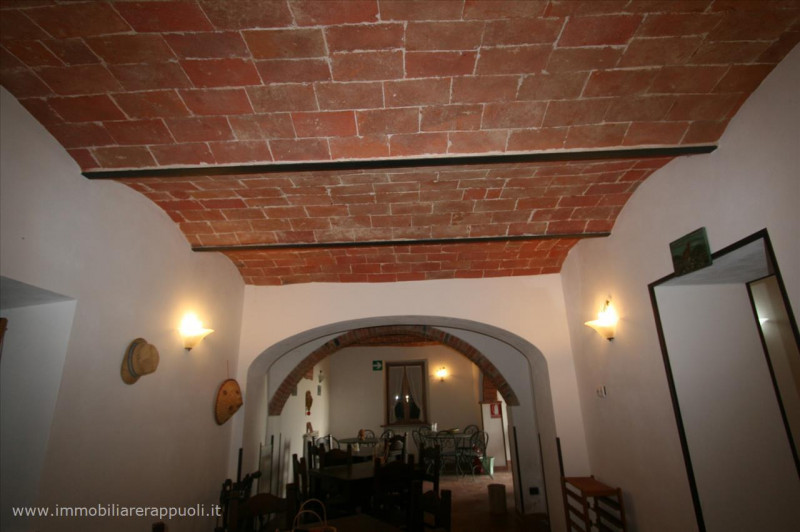 Immagine 15 di Rustico / casale in vendita  a Sinalunga