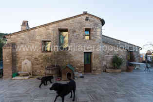 Immagine 3 di Rustico / casale in vendita  a Asciano