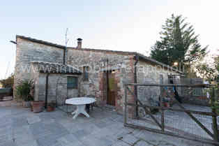 Immagine 4 di Rustico / casale in vendita  a Asciano