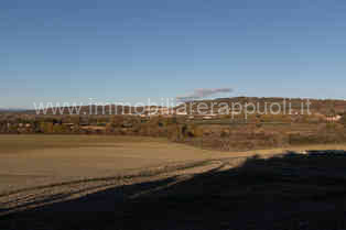 Immagine 6 di Rustico / casale in vendita  a Asciano