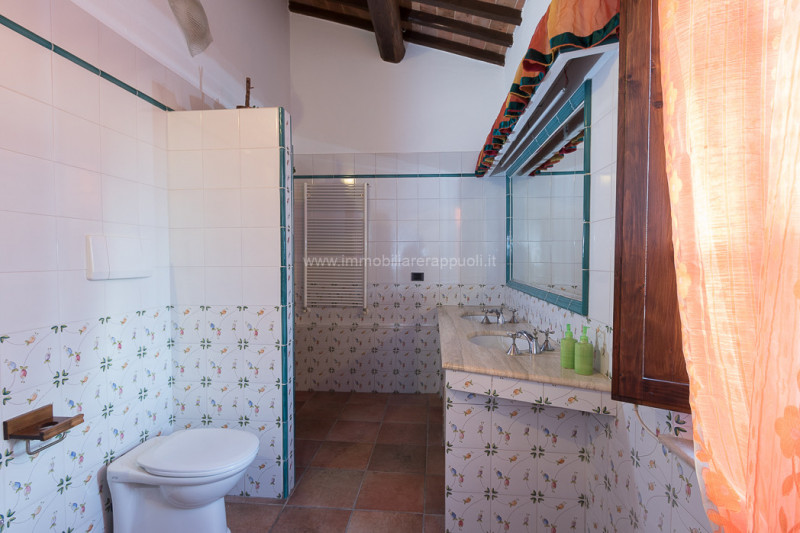 Immagine 22 di Rustico / casale in vendita  a Asciano