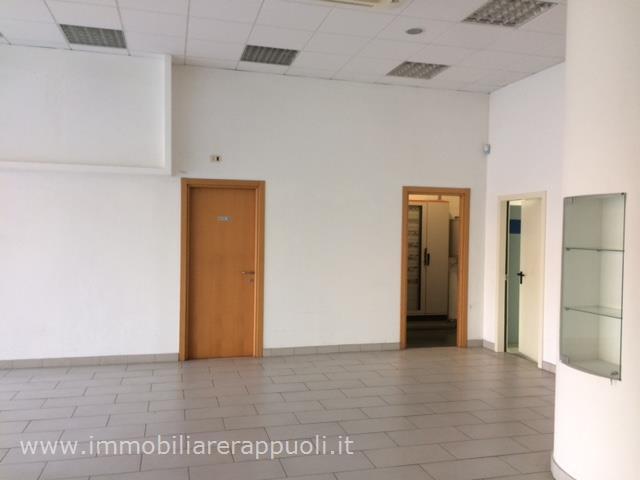 Immagine 2 di Capannone industriale in vendita  a Sinalunga