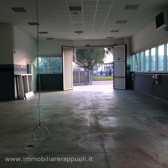 Immagine 3 di Capannone industriale in vendita  a Sinalunga