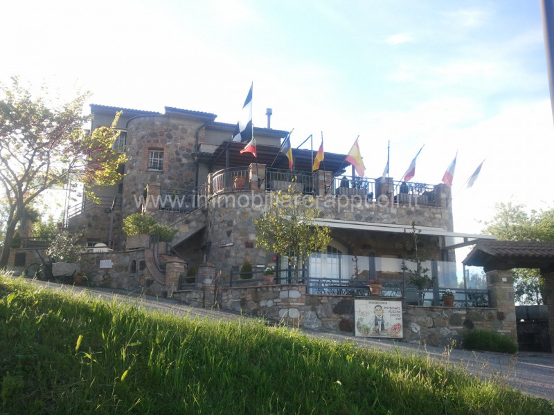 Immagine 5 di Rustico / casale in vendita  a Siena