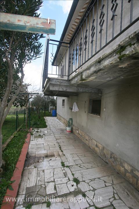 Immagine 5 di Casa indipendente in vendita  a Sinalunga