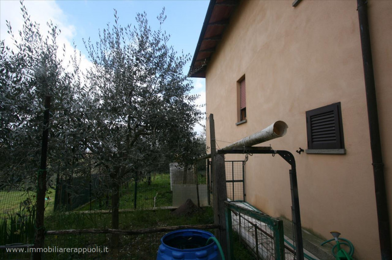 Immagine 6 di Casa indipendente in vendita  a Sinalunga