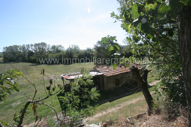 Immagine 4 di Rustico / casale in vendita  a Montepulciano