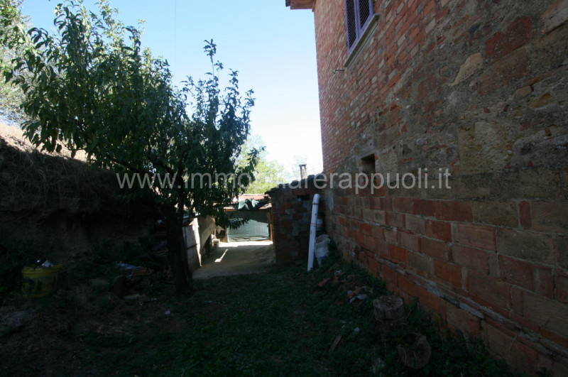 Immagine 6 di Rustico / casale in vendita  a Montepulciano