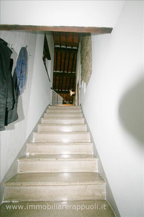 Immagine 15 di Casa indipendente in vendita  a Sinalunga